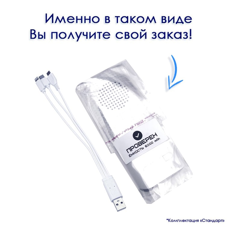 пластиковый повер банк внешний аккумулятор power bank с логотипом флеш империя купить оптом PB18-min