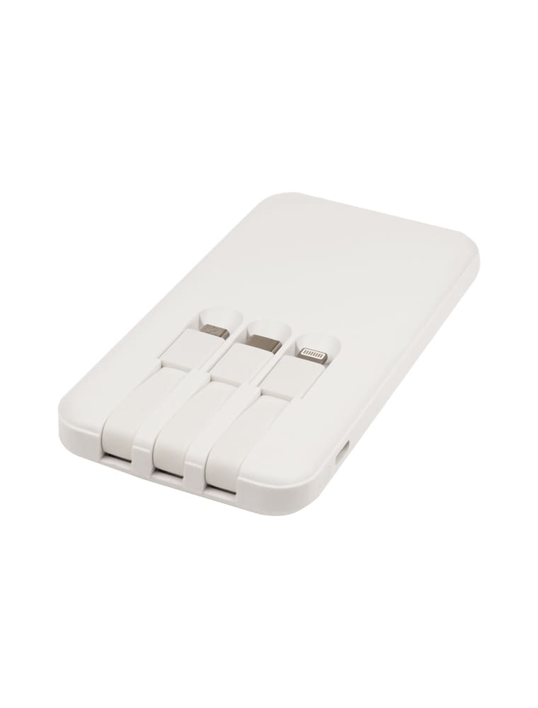 ZPB53 купить недорого power bank с логотипом компании спб
