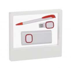 Z.Gift 20 купить оптом недорого подарочный набор с логотипом компании москва