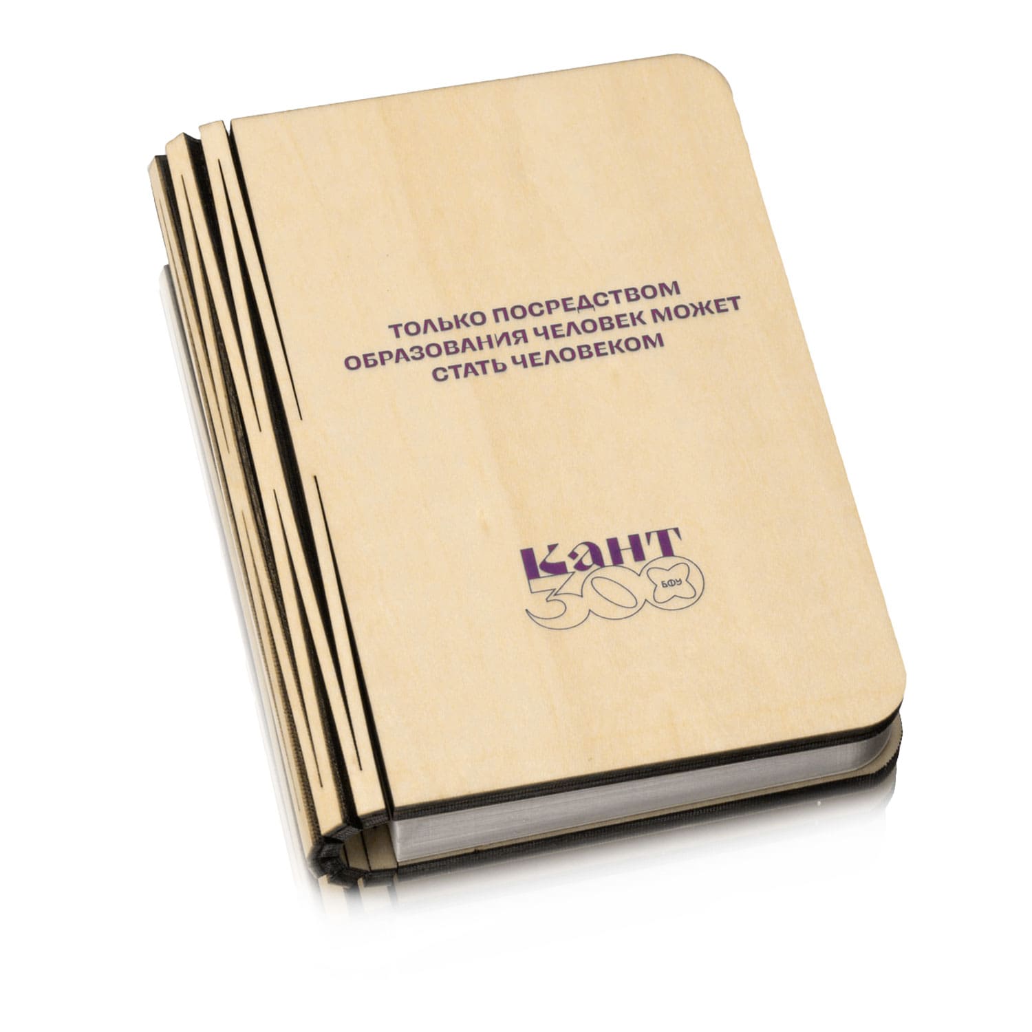 Книга светильник