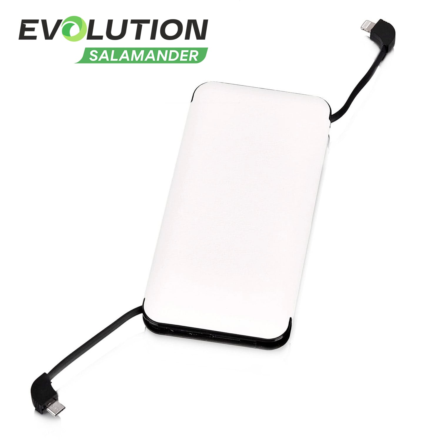 Внешний аккумулятор EVOLUTION PB12