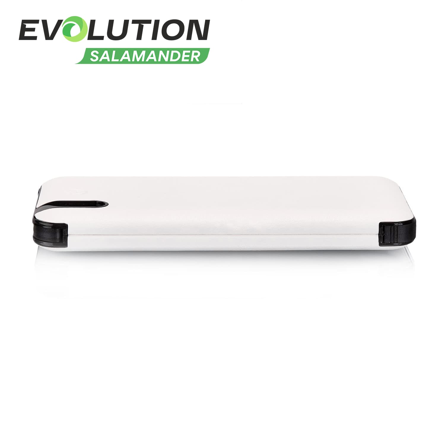 Внешний аккумулятор EVOLUTION PB12