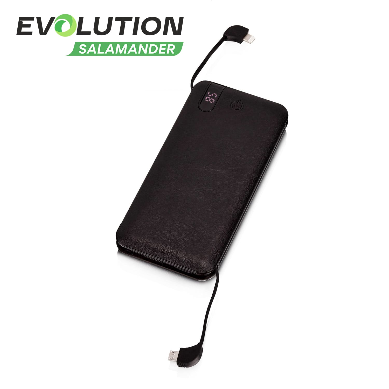 Внешний аккумулятор EVOLUTION PB12