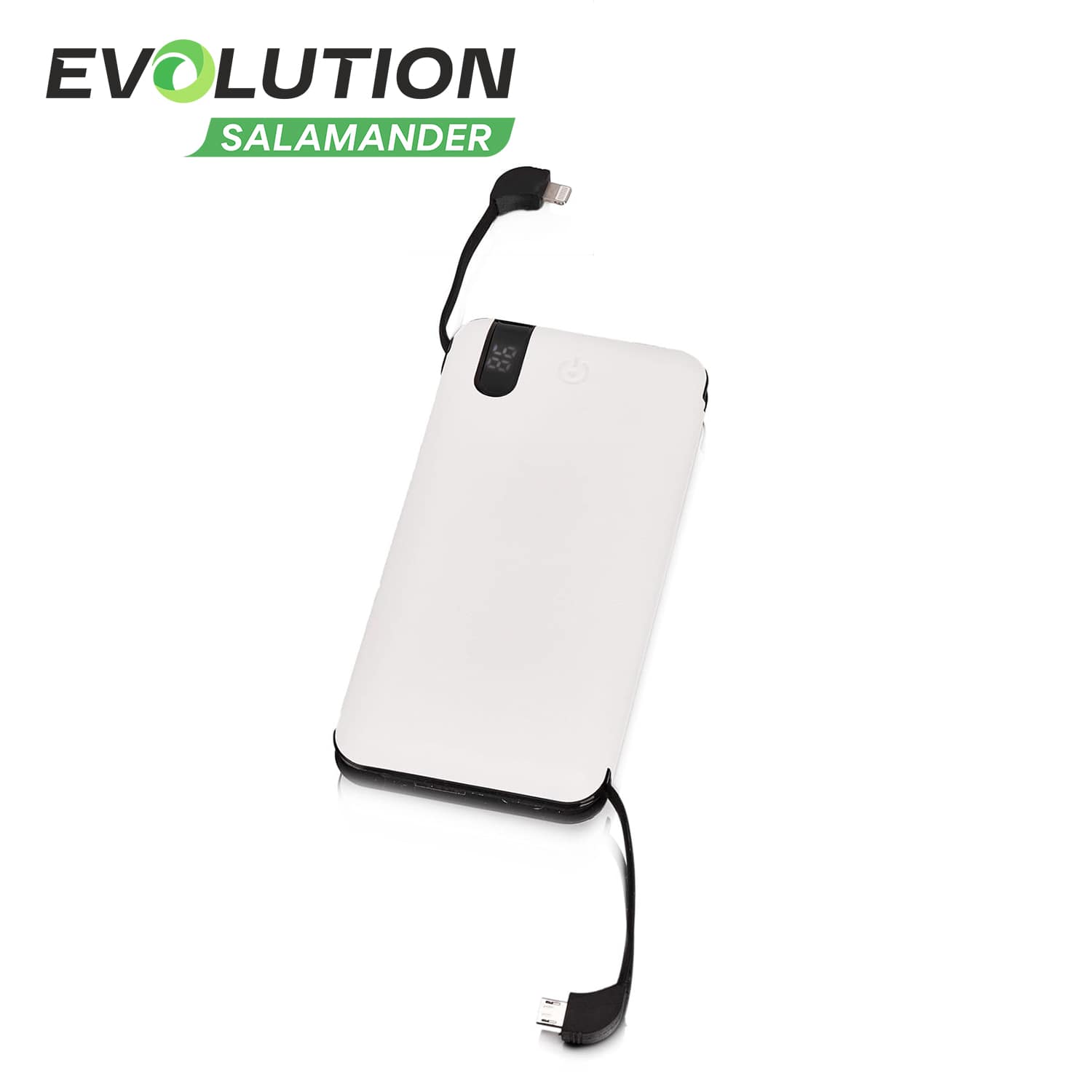 Внешний аккумулятор EVOLUTION PB12